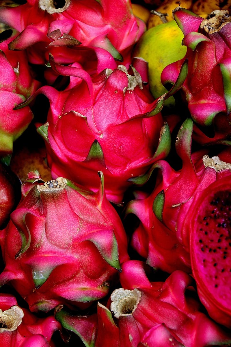 Exotic culinary creations